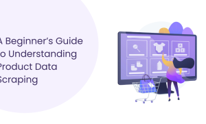 A Trusted Guide to Product Data Scraping for Beginners