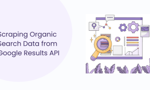 Scrape Organic Search Data with Google Organic Results API