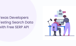 How Texas Developers Use Free SERP API for Testing and Small Projects
