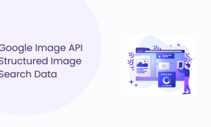 Google Image API: How It Works, Use Cases, Data & Limits