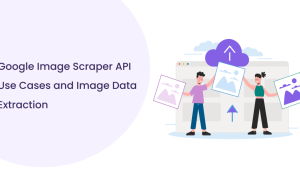 Google Image Scraper API: Extracting Image Results Reliably