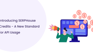 SERPHouse API Credits Explained: From Requests to Credits