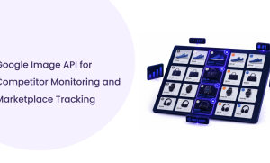How Ecommerce Brands Use Google Image API for Competitor Monitoring