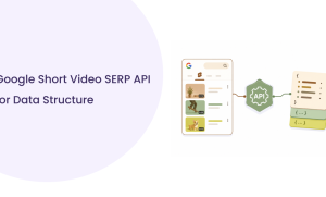 Google Short Videos API for Tracking Hidden SERP Rankings