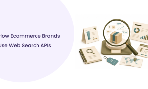 Web Search API for Ecommerce Brands: The Complete Guide