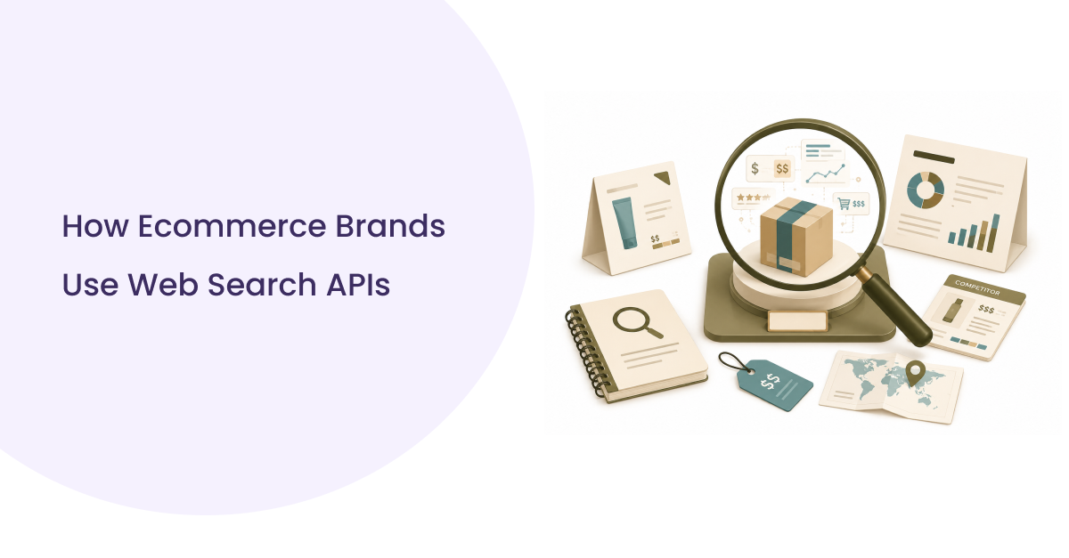 How Ecommerce Brands Use Web Search APIs