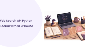 Web Search API Python Guide for Developers