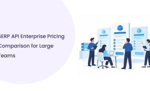 SERP API Enterprise Pricing Comparison: Vendors Compared