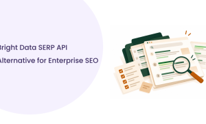 Bright Data SERP API Alternative: ROI and Risk