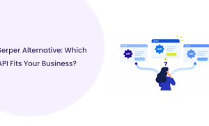 Serper Alternative: Pricing, Features & AI Agent Support