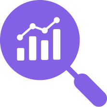 SEO Insights